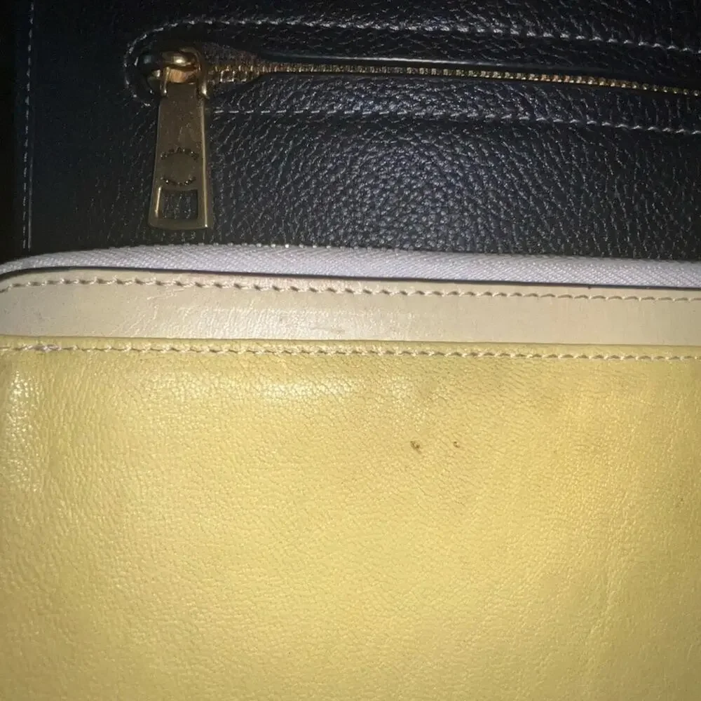 Rag & Bone Yellow Leather Zip Clutch Wallet VGUC SS26 Canary Trend BOLO
